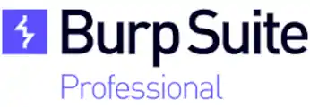 Burp Suite Professional