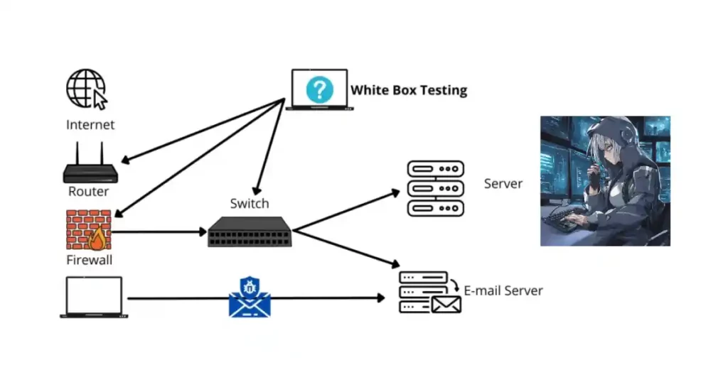 White box penetration testing