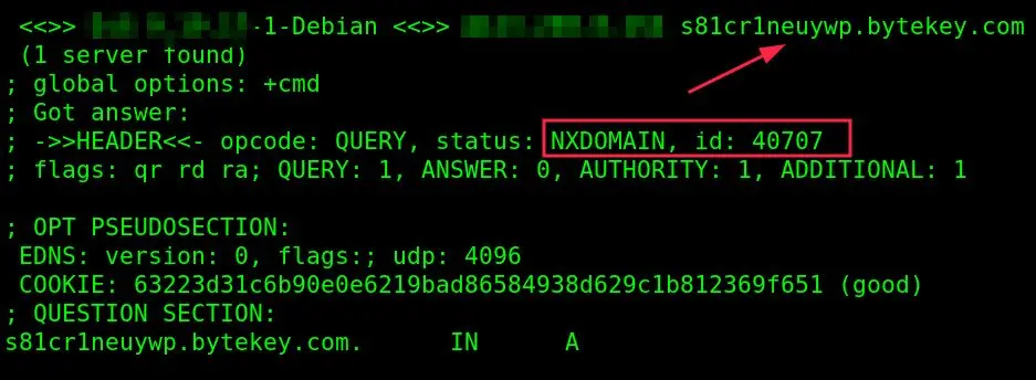 DNS Security threats NXDOMAIN ATTACK in Action